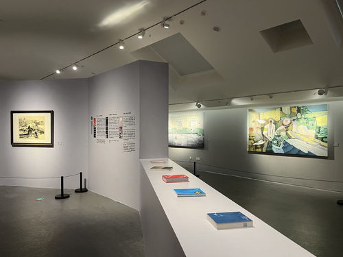 汇聚67件精品力作, 成渝地区美术馆精品交流展 亮相四川美术馆